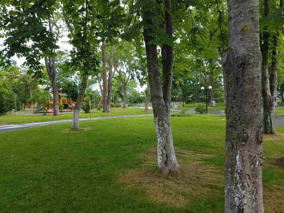 Villa Salena 프리모르스코 외부 사진